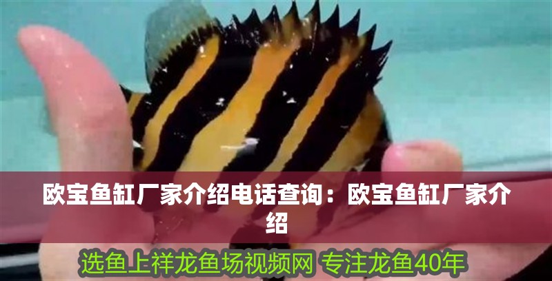 歐寶魚缸廠家介紹電話查詢：歐寶魚缸廠家介紹 歐寶魚缸廠家介紹電話查詢：歐寶魚缸廠家介紹 魚缸百科