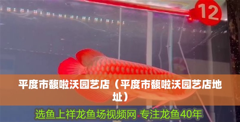 平度市馥啦沃園藝店（平度市馥啦沃園藝店地址）