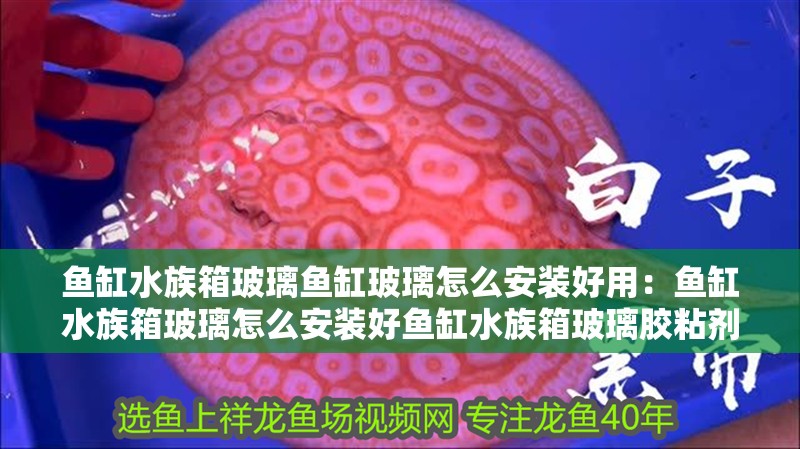 魚缸用增氧泵價格是多少:魚缸增氧機-xtrac增氧機-xtrac增氧機 魚缸水族箱玻璃魚缸玻璃怎么安裝好用:魚缸水族箱玻璃怎么安裝好魚缸水族箱玻璃膠粘劑安裝 魚缸百科 魚缸水族箱玻璃魚缸玻璃怎么安裝好用:魚缸水族箱玻璃怎么安裝好魚缸水族箱玻璃膠粘劑安裝 魚缸水族箱玻璃魚缸玻璃怎么安裝好用:魚缸水族箱玻璃怎么安裝好魚缸水族箱玻璃膠粘劑安裝 魚缸百科