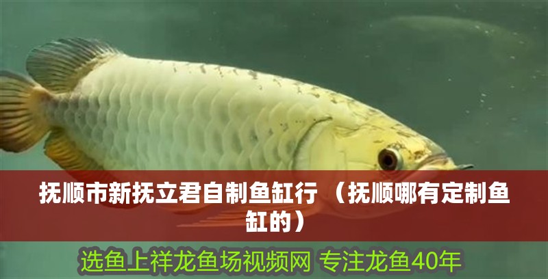 撫順市新撫立君自制魚缸行 （撫順哪有定制魚缸的）