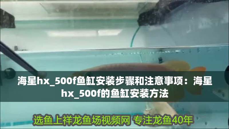 海星hx_500f魚缸安裝步驟和注意事項：海星hx_500f的魚缸安裝方法 海星hx_500f魚缸安裝步驟和注意事項：海星hx_500f的魚缸安裝方法 魚缸百科