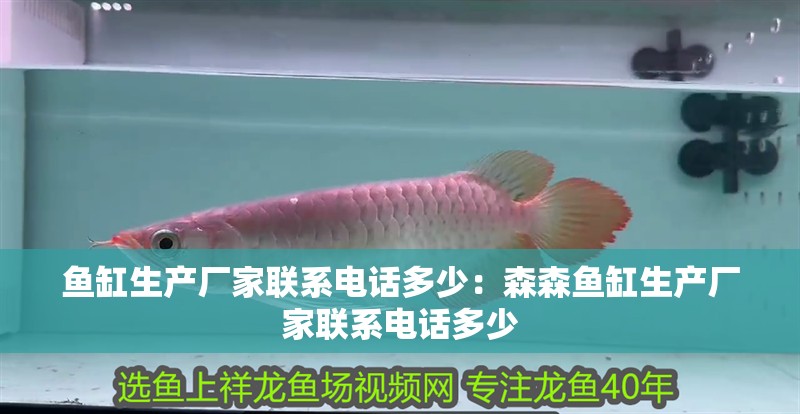 魚缸生產廠家聯(lián)系電話多少：森森魚缸生產廠家聯(lián)系電話多少 魚缸生產廠家聯(lián)系電話多少：森森魚缸生產廠家聯(lián)系電話多少 魚缸百科