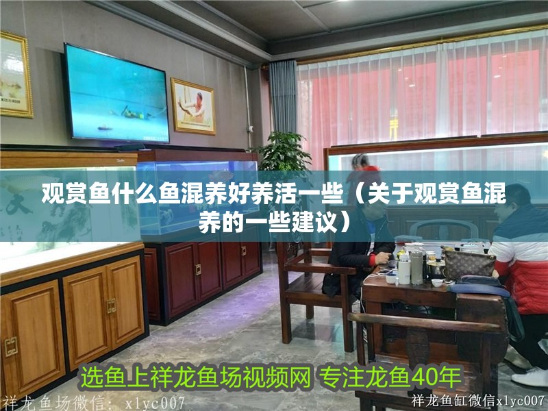 觀賞魚什么魚混養好養活一些（關于觀賞魚混養的一些建議）