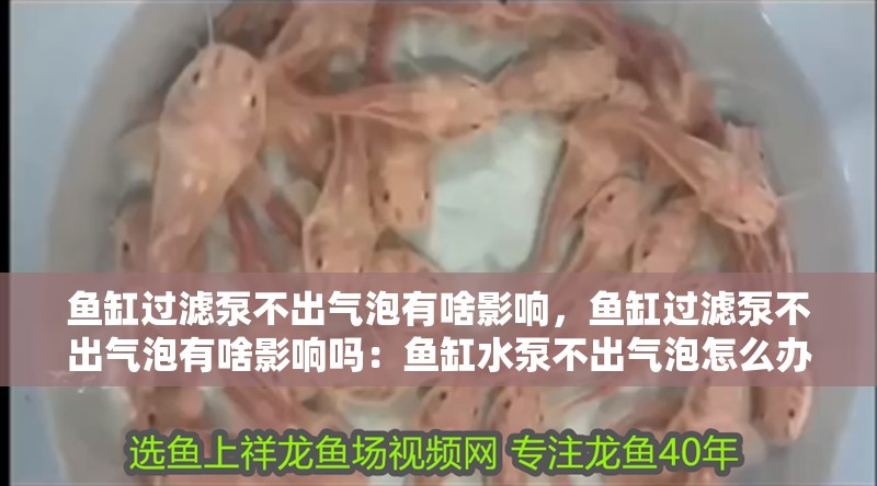 魚缸過濾泵不出氣泡有啥影響，魚缸過濾泵不出氣泡有啥影響嗎：魚缸水泵不出氣泡怎么辦
