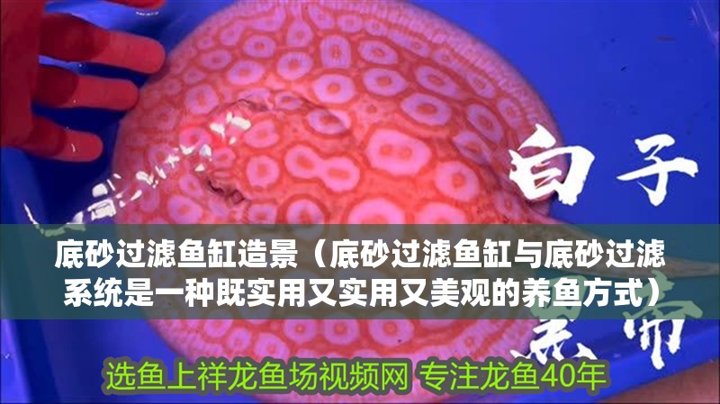 底砂過濾魚缸造景（底砂過濾魚缸與底砂過濾系統是一種既實用又實用又美觀的養魚方式）