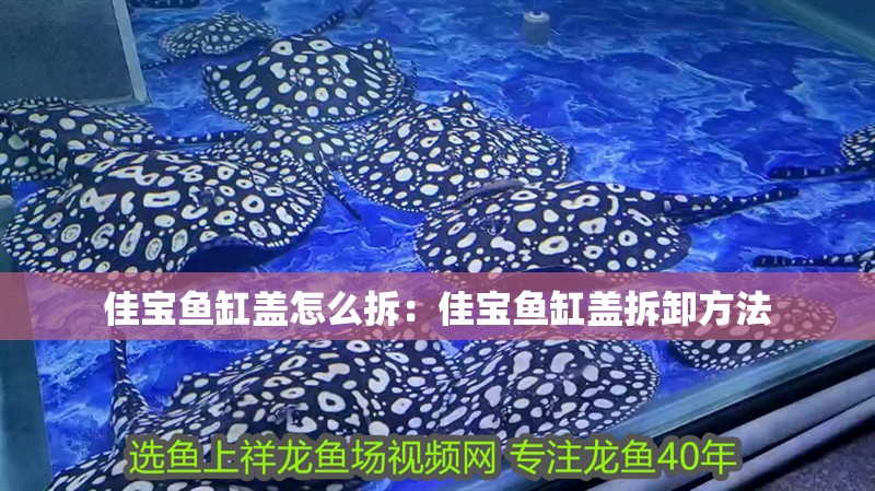 佳寶魚缸蓋怎么拆：佳寶魚缸蓋拆卸方法