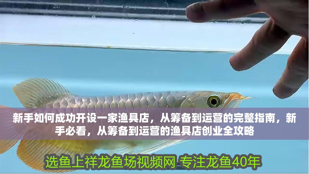 新手如何成功開設一家漁具店,從籌備到運營的完整指南,新手必看,從籌備到運營的漁具店創業全攻略 龍魚百科 第1張 新手如何成功開設一家漁具店,從籌備到運營的完整指南,新手必看,從籌備到運營的漁具店創業全攻略 新手如何成功開設一家漁具店,從籌備到運營的完整指南,新手必看,從籌備到運營的漁具店創業全攻略 龍魚百科 第1張