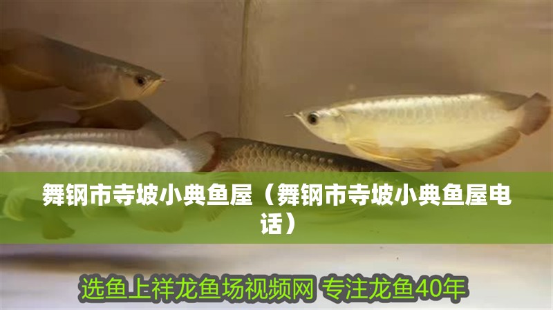 舞鋼市寺坡小典魚屋（舞鋼市寺坡小典魚屋電話）