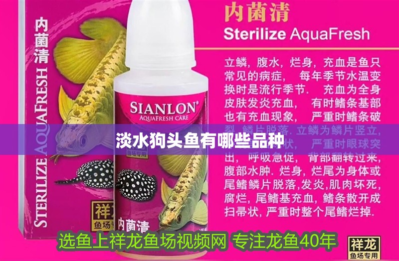 淡水狗頭魚有哪些品種