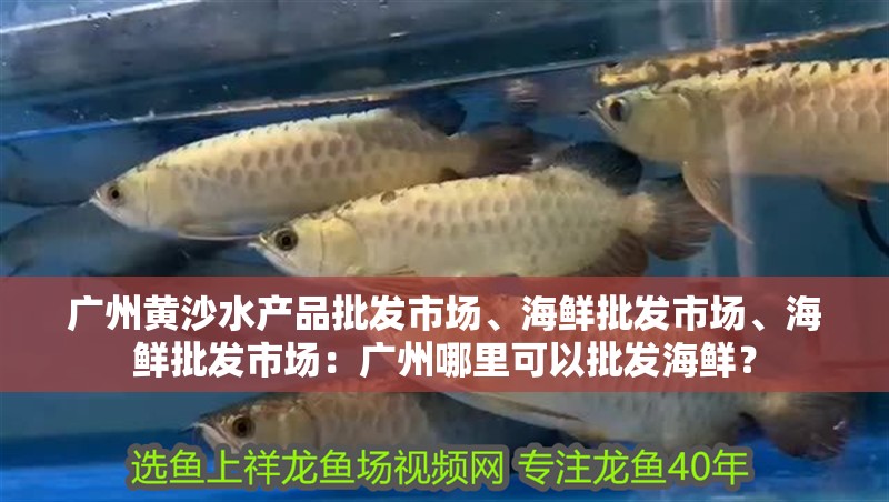 廣州黃沙水產品批發市場、海鮮批發市場、海鮮批發市場：廣州哪里可以批發海鮮？