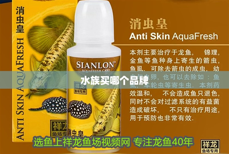 水族買哪個品牌