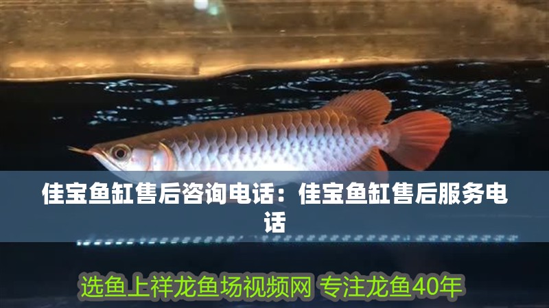 佳寶魚缸售后咨詢電話：佳寶魚缸售后服務(wù)電話 佳寶魚缸售后咨詢電話：佳寶魚缸售后服務(wù)電話 魚缸百科