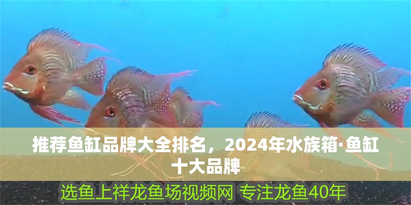 推薦魚缸品牌大全排名，2024年水族箱·魚缸十大品牌