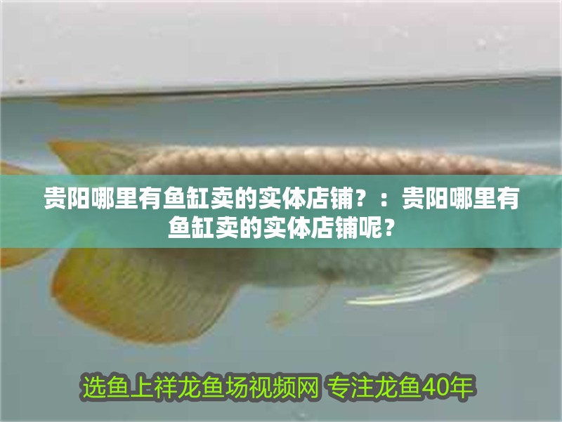貴陽哪里有魚缸賣的實體店鋪？：貴陽哪里有魚缸賣的實體店鋪呢？ 貴陽哪里有魚缸賣的實體店鋪？：貴陽哪里有魚缸賣的實體店鋪呢？ 魚缸百科