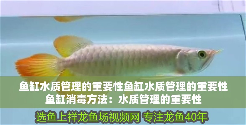 魚缸水質管理的重要性魚缸水質管理的重要性魚缸消毒方法：水質管理的重要性 魚缸水質管理的重要性魚缸水質管理的重要性魚缸消毒方法：水質管理的重要性 魚缸百科