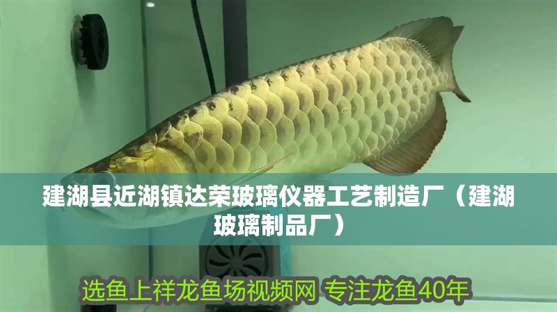 建湖縣近湖鎮達榮玻璃儀器工藝制造廠（建湖玻璃制品廠） 建湖縣近湖鎮達榮玻璃儀器工藝制造廠（建湖玻璃制品廠） 全國水族館企業名錄