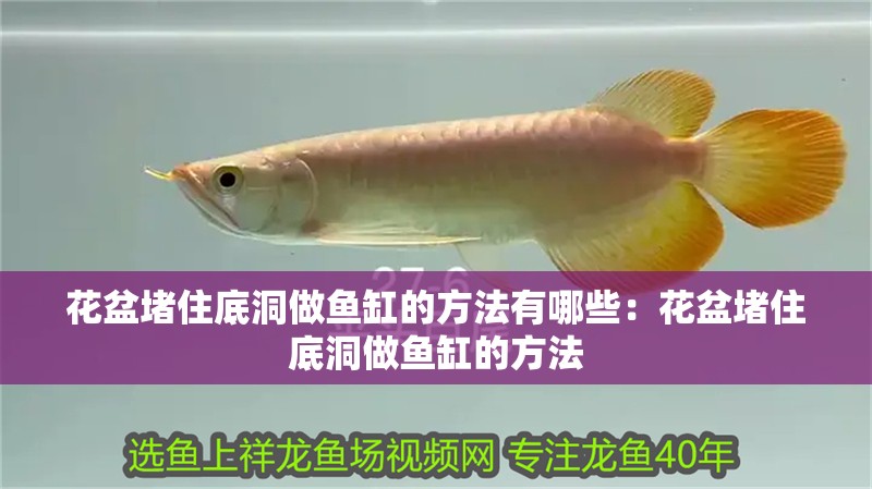 花盆堵住底洞做魚缸的方法有哪些：花盆堵住底洞做魚缸的方法