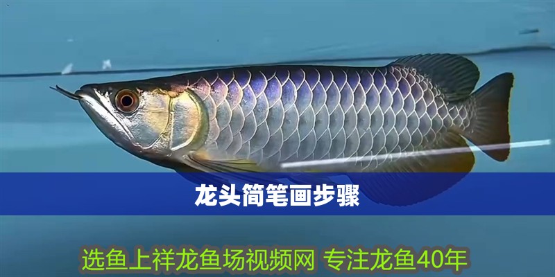 龍頭簡筆畫步驟 龍頭簡筆畫步驟 龍魚論壇