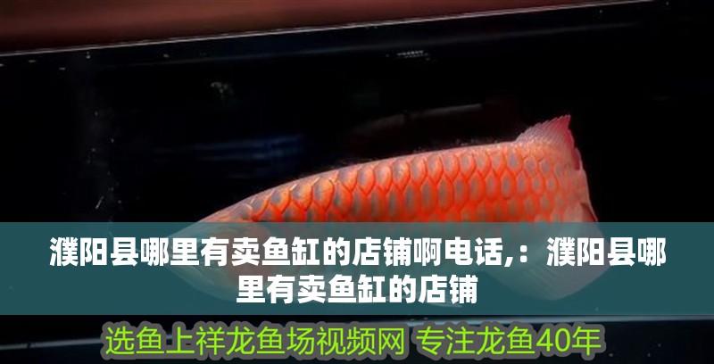 濮陽縣哪里有賣魚缸的店鋪啊電話,：濮陽縣哪里有賣魚缸的店鋪