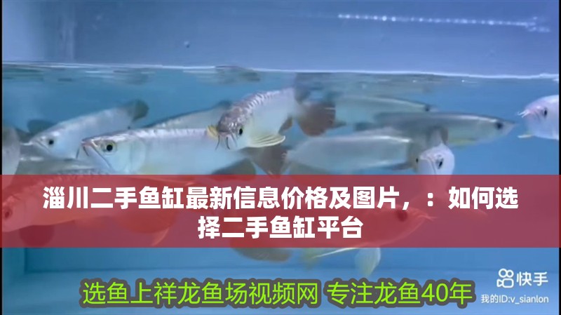 淄川二手魚缸最新信息價格及圖片，：如何選擇二手魚缸平臺