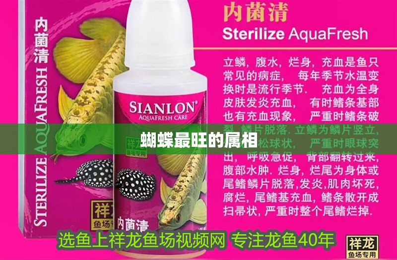 蝴蝶最旺的屬相