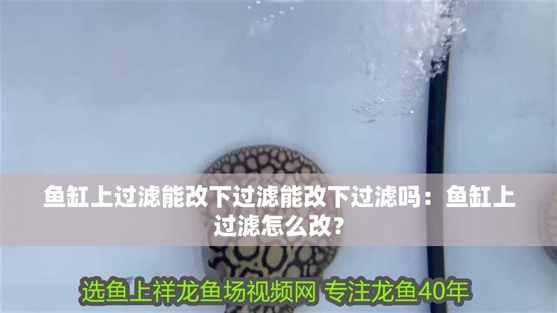 魚缸上過濾能改下過濾能改下過濾嗎：魚缸上過濾怎么改？