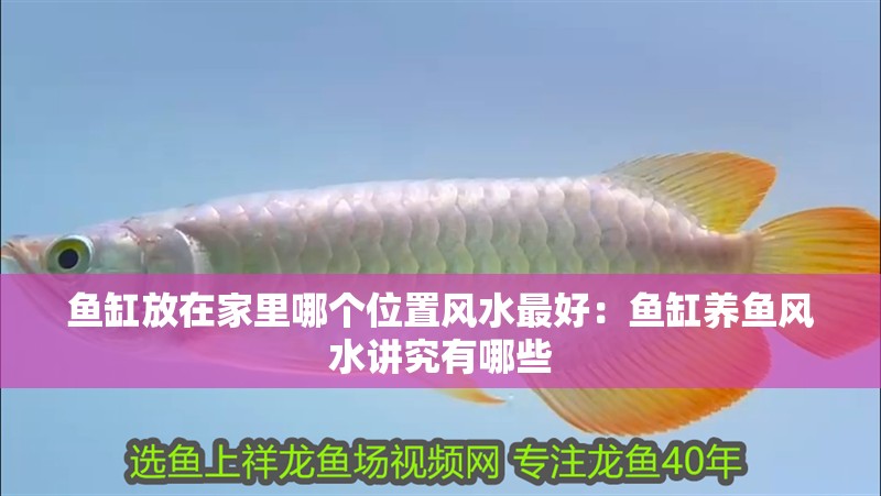 魚缸放在家里哪個位置風水最好：魚缸養魚風水講究有哪些