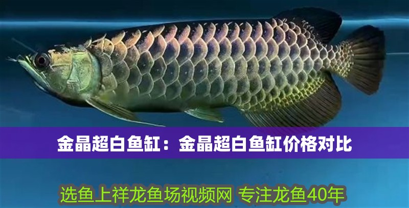 金晶超白魚缸：金晶超白魚缸價(jià)格對(duì)比