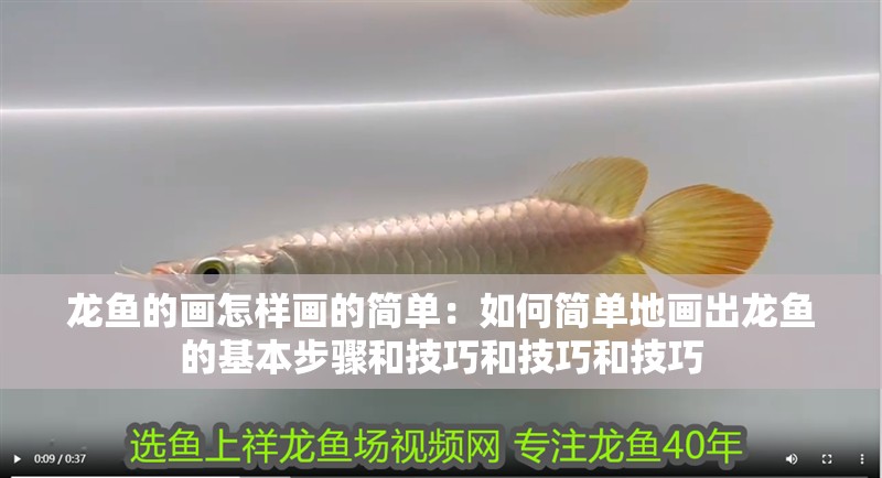 龍魚的畫怎樣畫的簡單：如何簡單地畫出龍魚的基本步驟和技巧和技巧和技巧