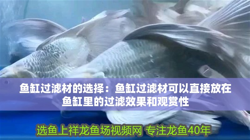 魚缸過濾材的選擇：魚缸過濾材可以直接放在魚缸里的過濾效果和觀賞性 魚缸過濾材的選擇：魚缸過濾材可以直接放在魚缸里的過濾效果和觀賞性 魚缸百科