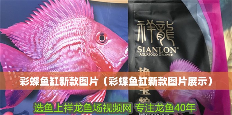 彩蝶魚缸新款圖片（彩蝶魚缸新款圖片展示）