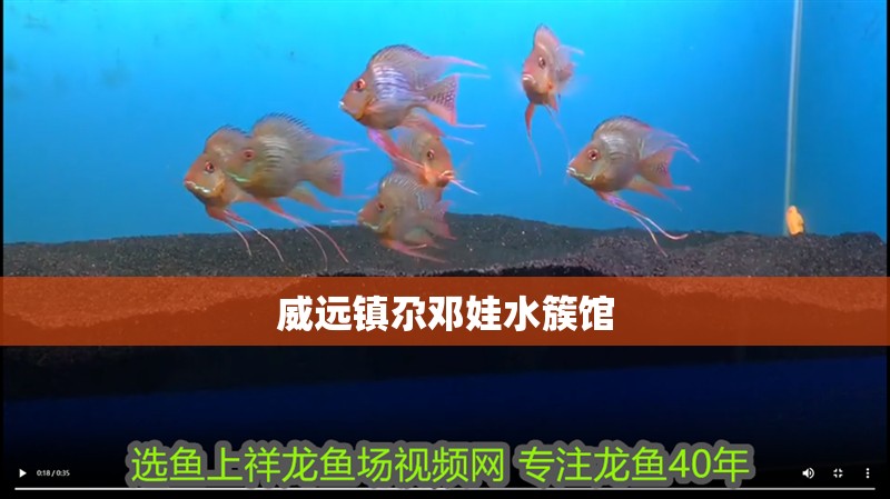 威遠鎮尕鄧娃水簇館