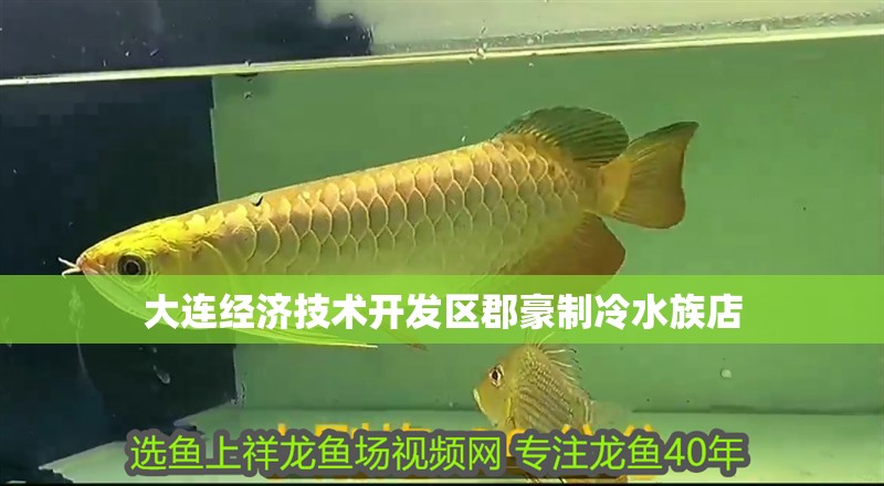 大連經(jīng)濟(jì)技術(shù)開發(fā)區(qū)郡豪制冷水族店