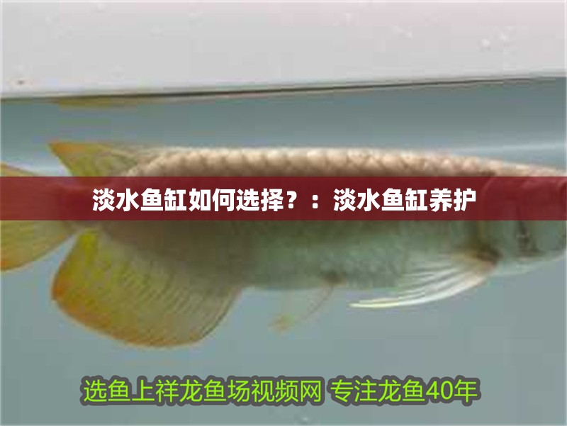 淡水魚缸如何選擇？：淡水魚缸養(yǎng)護