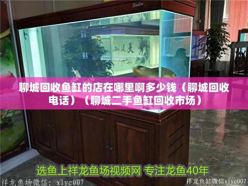聊城回收魚缸的店在哪里啊多少錢（聊城回收電話）（聊城二手魚缸回收市場）