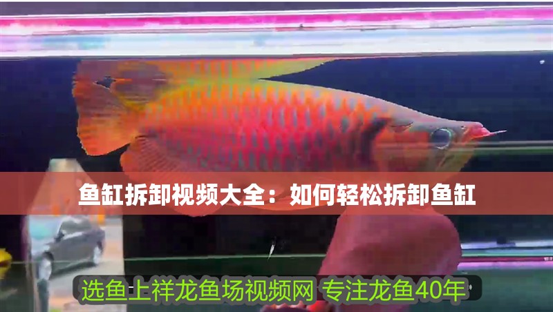 魚缸拆卸視頻大全：如何輕松拆卸魚缸 魚缸拆卸視頻大全：如何輕松拆卸魚缸 魚缸百科