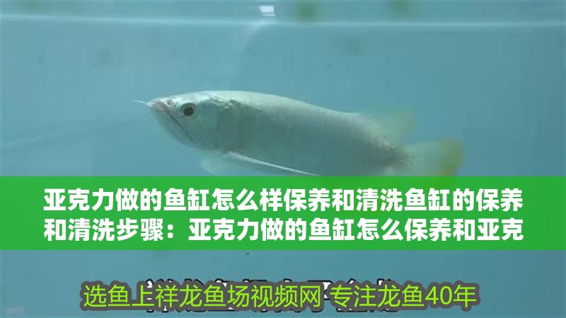 亞克力做的魚缸怎么樣保養和清洗魚缸的保養和清洗步驟：亞克力做的魚缸怎么保養和亞克力魚缸保養和清洗步驟
