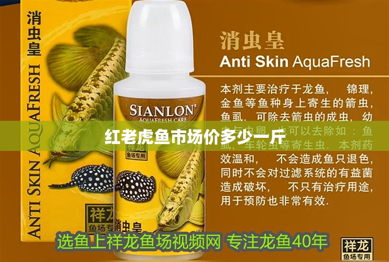 紅老虎魚市場價多少一斤 紅老虎魚市場價多少一斤 龍魚論壇