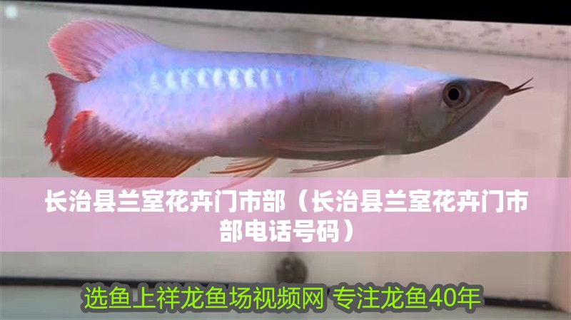 長治縣蘭室花卉門市部（長治縣蘭室花卉門市部電話號碼）