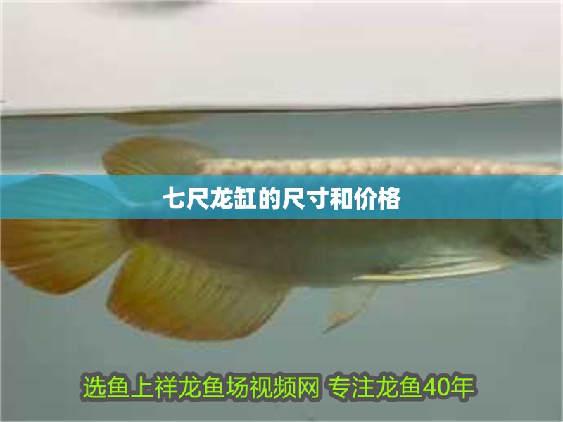七尺龍缸的尺寸和價格