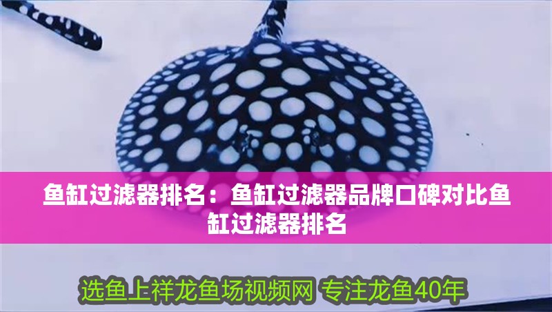 魚缸過濾器排名：魚缸過濾器品牌口碑對(duì)比魚缸過濾器排名