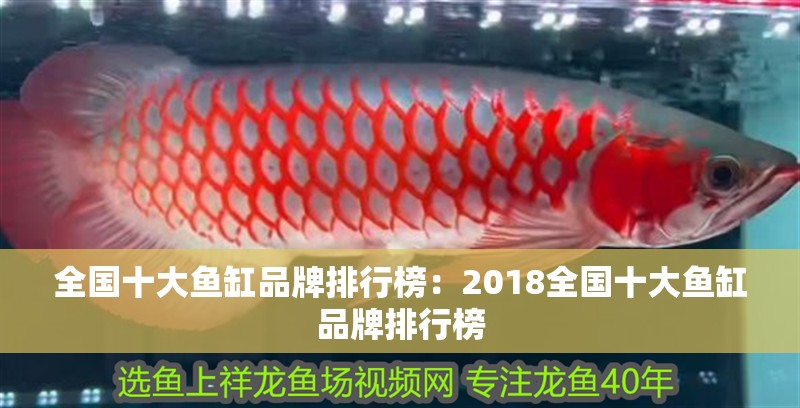 全國十大魚缸品牌排行榜：2018全國十大魚缸品牌排行榜 全國十大魚缸品牌排行榜：2018全國十大魚缸品牌排行榜 魚缸百科