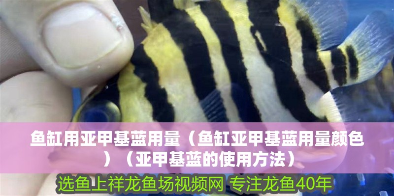 魚缸用亞甲基藍用量（魚缸亞甲基藍用量顏色）（亞甲基藍的使用方法）