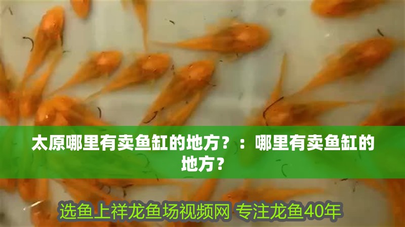 太原哪里有賣魚缸的地方？：哪里有賣魚缸的地方？ 太原哪里有賣魚缸的地方？：哪里有賣魚缸的地方？ 魚缸百科