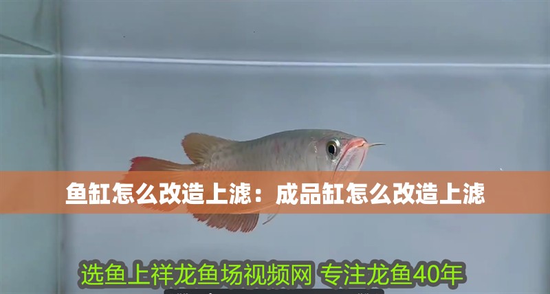 魚缸怎么改造上濾：成品缸怎么改造上濾 魚缸怎么改造上濾：成品缸怎么改造上濾 魚缸百科