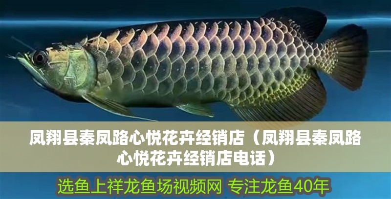 鳳翔縣秦鳳路心悅花卉經銷店（鳳翔縣秦鳳路心悅花卉經銷店電話）