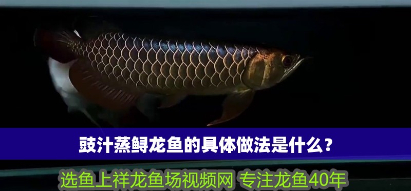 豉汁蒸鱘龍魚的具體做法是什么？