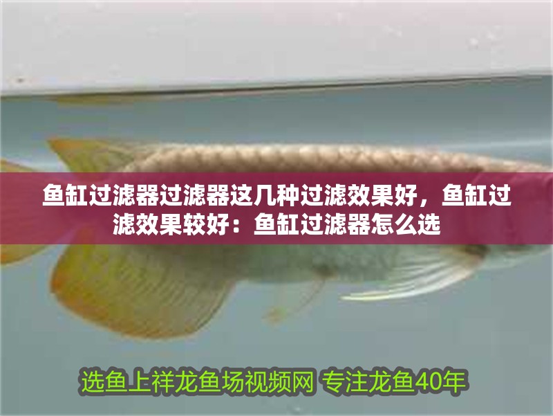 魚缸過濾器過濾器這幾種過濾效果好，魚缸過濾效果較好：魚缸過濾器怎么選