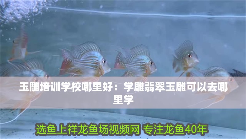 玉雕培訓學校哪里好：學雕翡翠玉雕可以去哪里學