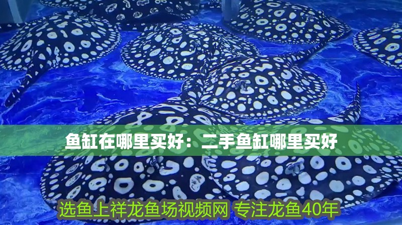 魚缸在哪里買好：二手魚缸哪里買好 魚缸在哪里買好：二手魚缸哪里買好 魚缸百科